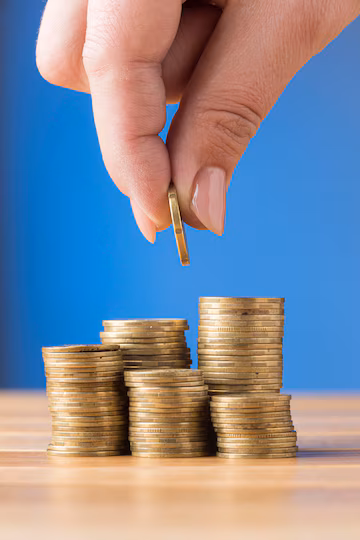 GST Schemes for Small Taxpayers